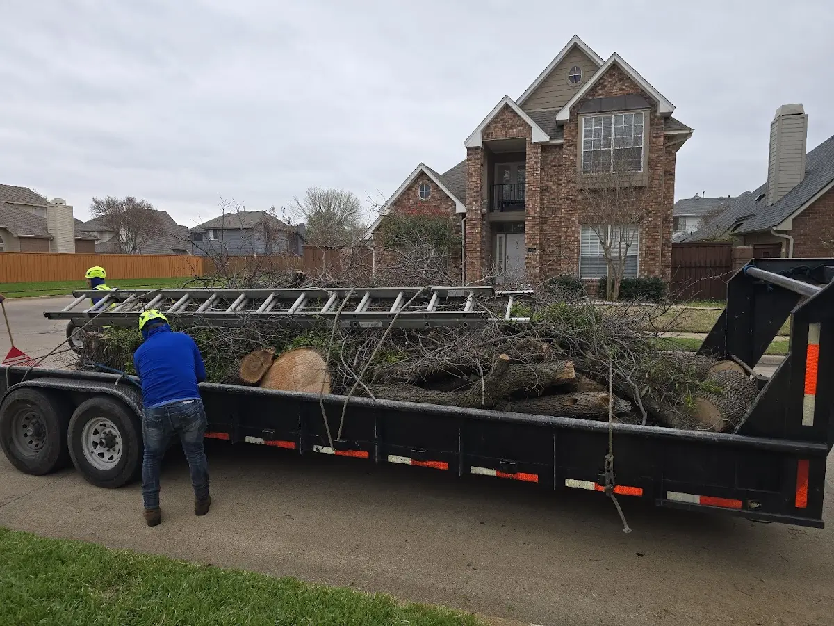 Expert Tree Removal with proper safety equipment in Waverly Hall